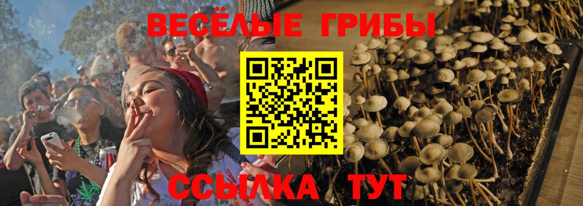 Псилоцибиновые грибы ЛСД Тейково